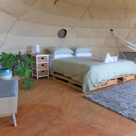 Отель 1 Waipu Off-Grid Eco Seaview Geodesic Glamping Dome Экстерьер фото